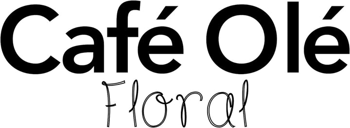 Grunwerg Café Olé Floral transparent filtru de cafea Presă de cafea din oțel inoxidabil 18/10 și sticlă 600 ml 4 pahare Demitasse, argintiu