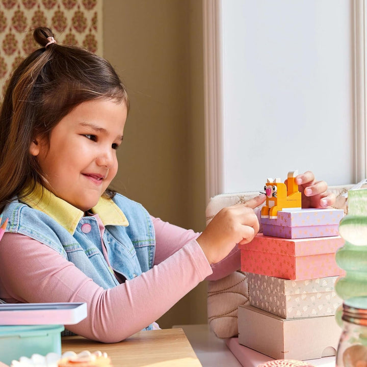 LEGO Classic Creative Fun Box, Cărămizi de construcție colorate pentru jocuri de rol imaginative, Set de construcție pentru începători, Jucării pentru fete și băieți de la 5 ani, Modele de reconstruit 11042