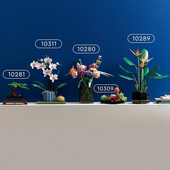 LEGO Botanicals Succulents - Set de construcție flori artificiale pentru adulți - Set de construcție buchet de flori - Hobby creativ și decorațiuni pentru casă - Idee de cadou pentru femei și bărbați - Colecție botanică (9 plante) 10309