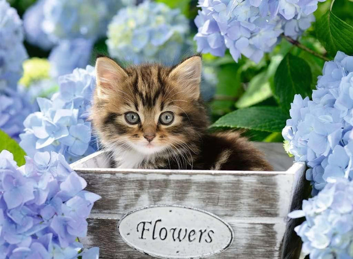 Puzzle pentru copii Ravensburger - 12894 Little Cat - Puzzle cu animale pentru copii începând cu vârsta de 9 ani, cu 300 de piese în format XXL