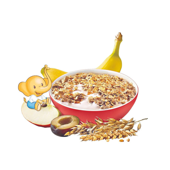 Muesli de fructe ecologic Hipp, pachet de 6 x 200 grame