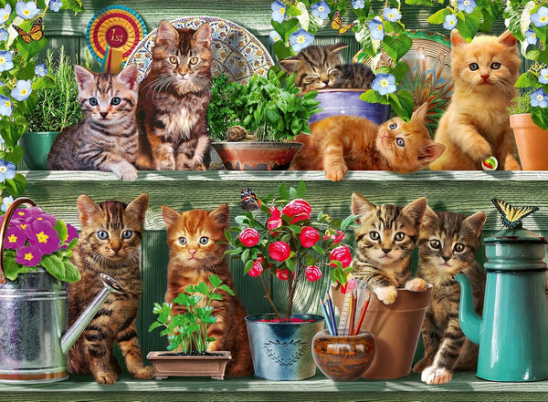 Ravensburger Puzzle 12000205 - Katzen Im Regal - puzzle jigsaw de 500 de piese pentru adulți și copii de peste 10 ani, puzzle animalier cu motiv de pisică